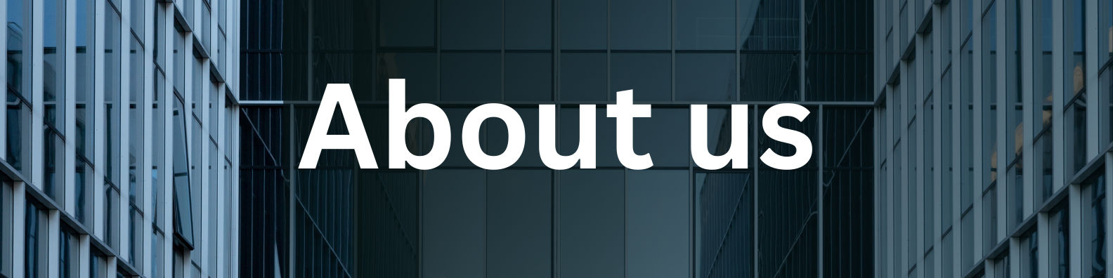 Black and White Gradient Corporate Business Linkedin Banner Background Photo